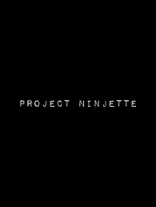Project Ninjette, 2015; video instalation (duration 17 minutes)